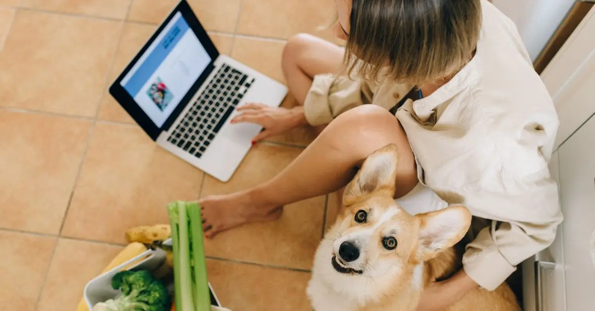 Comment optimiser vos achats en épicerie fine en ligne