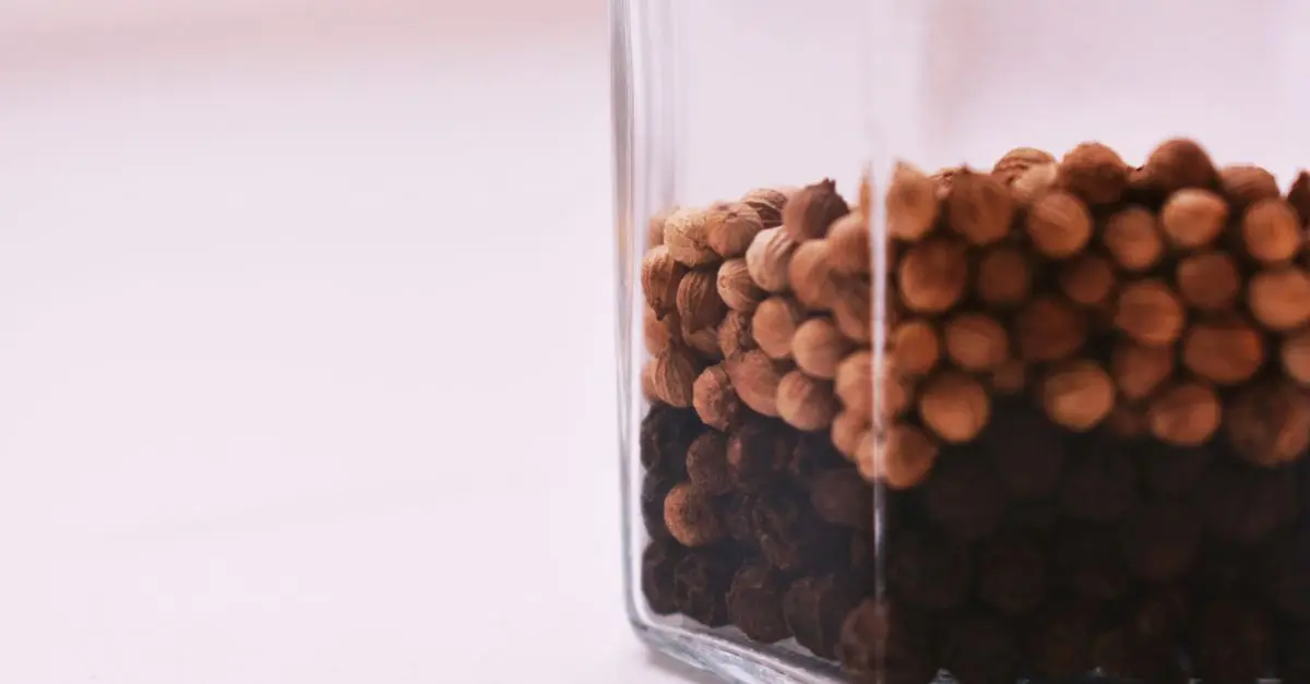 Les 5 épices essentielles pour une cuisine raffinée