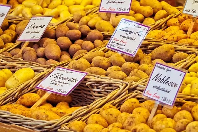 Guide pratique pour choisir des produits d'épicerie fine en ligne