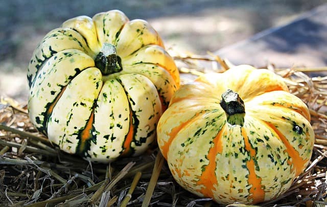 Les produits d'épicerie fine à ne pas manquer cet automne